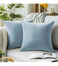 Amazon.com: QUORGVES Light Blue Velvet Pillow Covers 24x24 Inch
